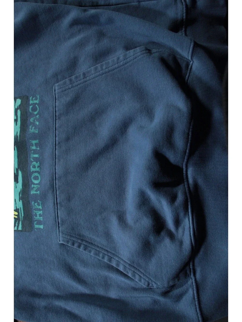 The North Face Joshua Tree Graphic Hooded Sweatshirt Hoodie L Men's Blue